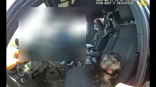 BODY CAM Dog rescued from car outside Ulta owner charged with animal cruelty