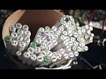 Household Hazardous Waste Collection