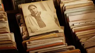 احدود امنيا دندنها
