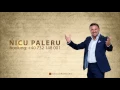 Download Lagu Nicu Paleru - Colaj EU BEAU VINUL CU BORCANU🥂❤️‍🔥