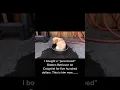 Buying a Dog on Craigslist Pets