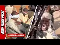 Download Lagu The Disturbing Truth About What’s Happening in Sudan