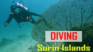 E195 – Diving the Surin Islands, Remote Reefs, Fishing Traps & First Use of Our Dive Compressor