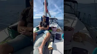 But who’s driving the boat?! 🤔 🤣 #sailing #shorts #sailinghollyblue