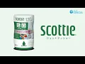 Download Lagu スコッティ ウェットティシュー 除菌 ノンアルコール