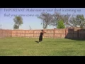 My Double Back Tutorial