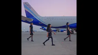 Love You Too | Vivien | IndiGo 6E