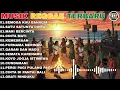 Download Lagu Kumpulan Top 13 Album Lagu Salsa Bintan Terbaru 2025 – Full Vibes Adem