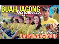 buah jagong || jaipong pmj ujang lanay || live cipunagara subang