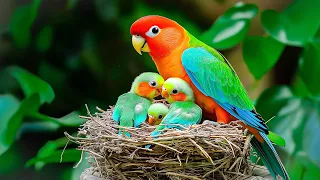 Goodbye Stress 🌿 Gentle Relaxing Music 🎵 Heal The Heart and Blood Vessels, Soothe Your Mind ❤️