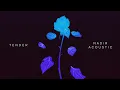 TENDER - Nadir (Acoustic)