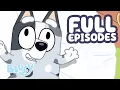 Download Lagu 30 MINUTES of Muffin Full Episodes! 🩶 | FOUR Bluey Full Episodes | Bluey