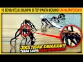 Download Lagu 10 BENDA PALING PELIK DIJUMPAI DI TEPI PANTAI KORANG TAKKAN PERCAYA