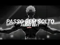 Lagu passo bem solto - atlxs (slowed to perfection) [audio edit] 