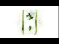 Animation of Celery for decoration