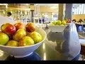 Behind the Scenes Tour State Quad Dining Hall