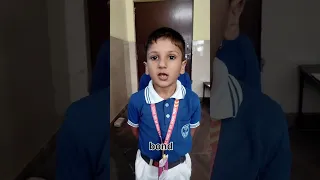                     دندنها