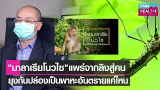 มาลาเรียโนทรายต่างจากมาลาเรียทั่วไปอย่างไรในแง่ของการแพร่เชื้อ