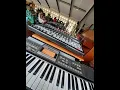 Download Lagu Ngoba Amanda ayatholwa