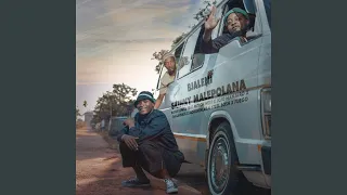 bjaleni skinny malepolana feat patron west jojo manjaro gallarbass aofishehlaga steel 