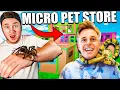 We Opened A FREE Micro Box Fort PET Store