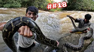 Tay Chân Bủn Rủn Khi Chạm Mặt X.Á.C CH.Ế.T Của Loài THỦY Quái Trên RỪNG | 4 Ngày Đêm Giữa RỪNG Mưa 