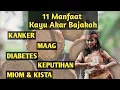 Download Lagu 11 Manfaat Kayu Akar Bajakah Asli Kalimantan
