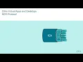 Citrix Tech Insight - Adaptive Display