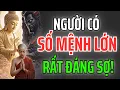 Download Lagu Người Có Số Mệnh Lớn – Vừa Là Phúc Cho Đời, Vừa Là Oán Cho Kẻ Ác