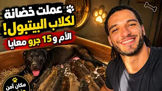 عملت حضانة لكبتي والجراوي ….. تعب يوم كامل ❤️🐶