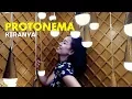 Download Lagu Protonema - Kiranya | KARAOKE
