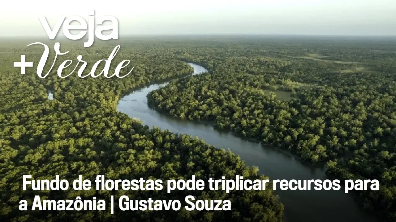 Fundo de florestas pode triplicar recursos para a Amazônia | Gustavo Souza