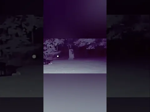 It was around their house..#scary