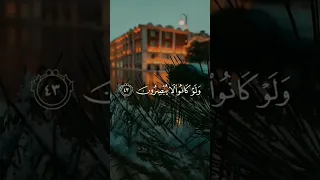 افانت تهدي العمي ولو كانوا لا يبصرون القارئ اسلام صبحي 