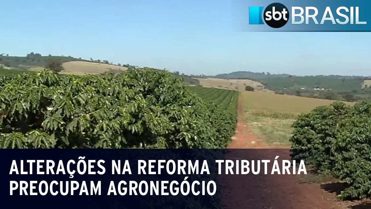 Alterações na reforma tributária preocupam agronegócio | SBT Brasil (15/07/23)