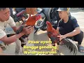 Download Lagu RESEARCH AND SURVE THE PRICES OF CHICKENS, DUCKS, BIRD AND GUINEA MOUSES AT RANGGE MARKET, GONDAN...