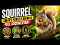 Squirrel Secrets Smart Forest Animal Full Documentary