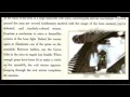 Why DMC Cosmology Hold Infinite Universes-Alternate Dimensions Scaling DMC Cosmology