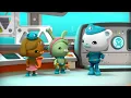 @Octonauts - 🐻‍❄️ Polar Bear Family Arctic Missions 🐾🧊 | 2 Hours+ Compilation