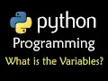 Learn Python Programming Tutorial what is the variable Python For Beginners SumanTV