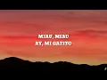 Lenar - Montagem Miau (Lyrics)
