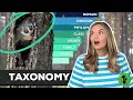 Taxonomy Classification of Living Organisms