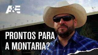 🤠 Prontos para a montaria? 🤠 | QUEM DÁ MAIS? | A&E