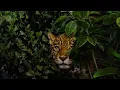 DJ MATT & Anabel Englund - GET BUSY (Official Visualizer)