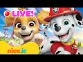 Download Lagu PAW Patrol To The Rescue! 💥 24/7 Preschool Livestream | Nick Jr.