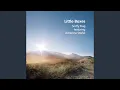 Little Boxes feat Adrienne Stiefel