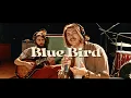 Download Lagu Clark's Bowling Club - Blue Bird (Live @CNSM de Paris)