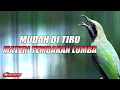 Download Lagu MASTERAN TEMBAKAN  LOMBA MUDAH DI TIRU MUDAH MASUK GARANSI JADI JUARA