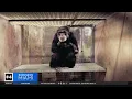 Fort Pierce chimp sanctuary warns Viral s mislead chimps are not pets