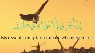 ستوري قران كريم بصوت جميل 